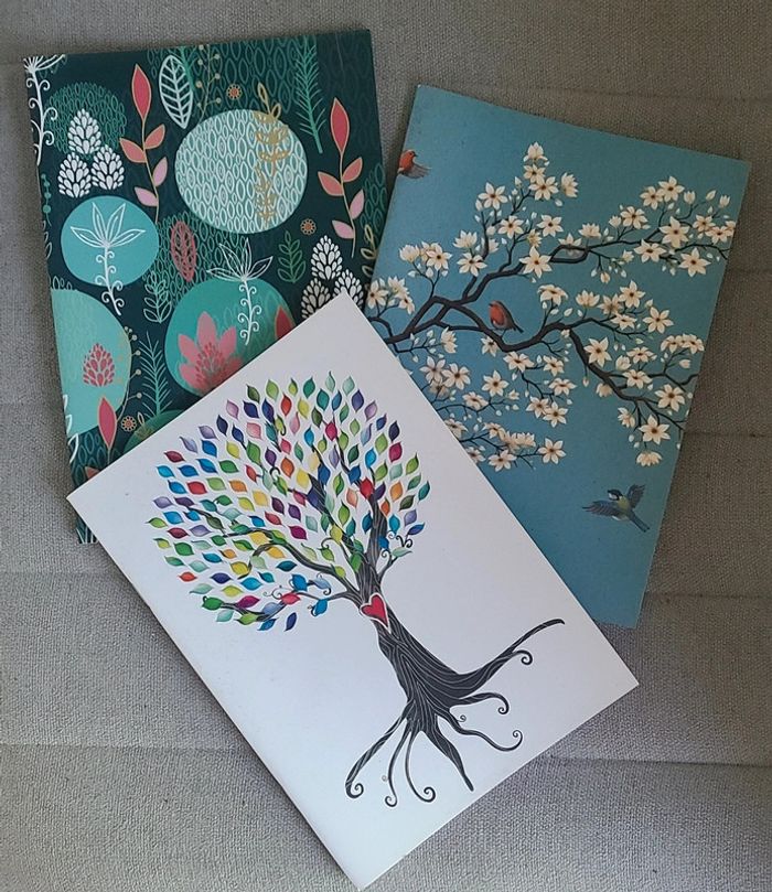 3 carnets lignés Neuf
