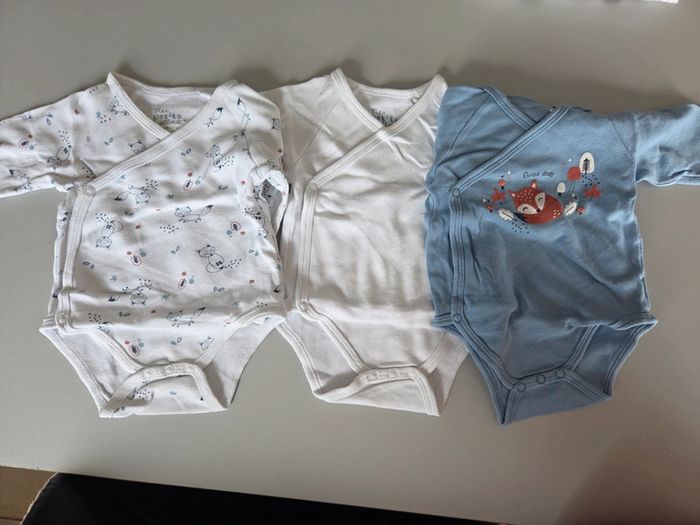 Lot 3 Bodies renard 6m mixte