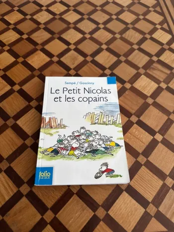 Livre Le Petit Nicolas et les copains
