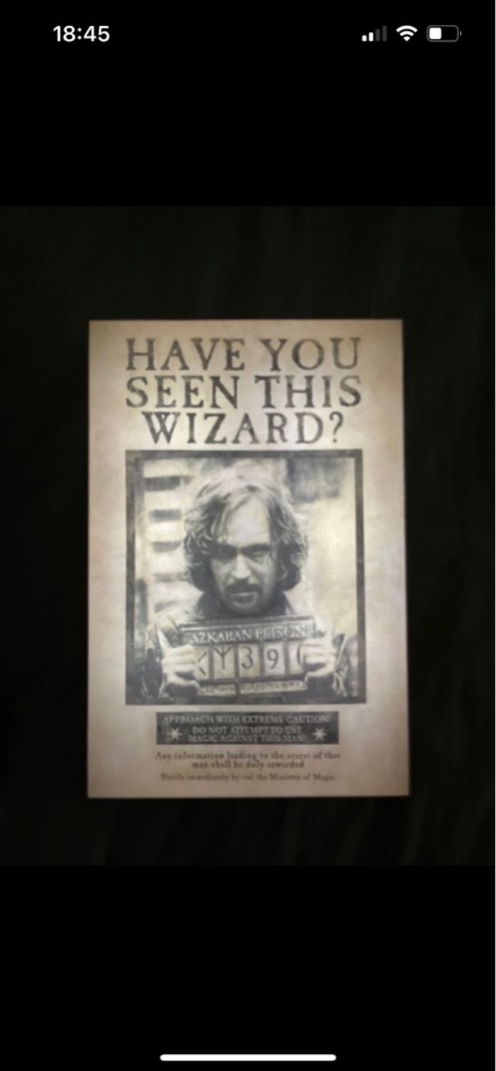 Cadre lumineux Harry Potter Sirius Black - photo numéro 2