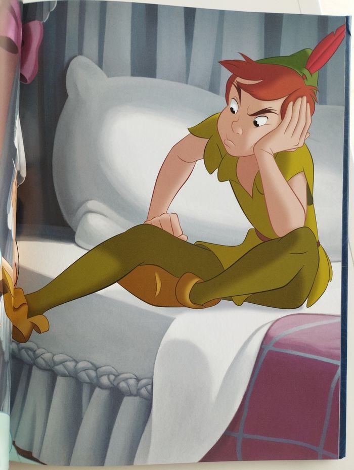 Livre Disney - photo numéro 8
