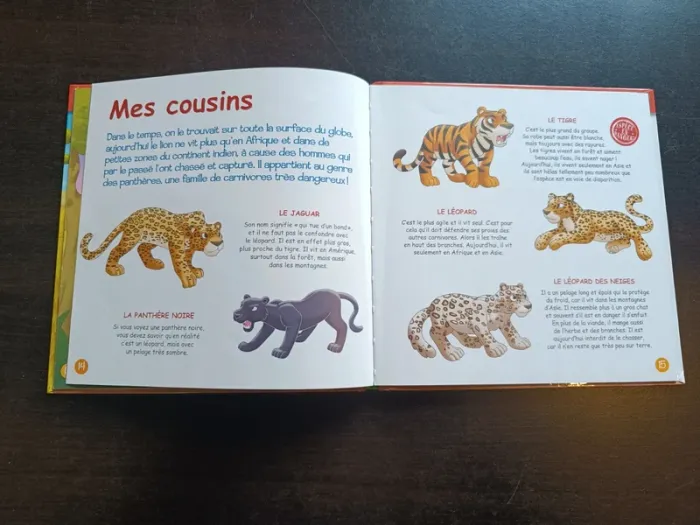 Livre LE LION - photo numéro 5