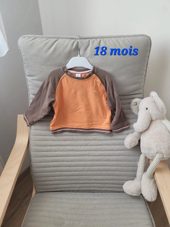 Tee shirt manches longues 18 mois