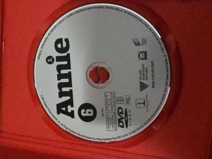 DVD Annie - photo numéro 3