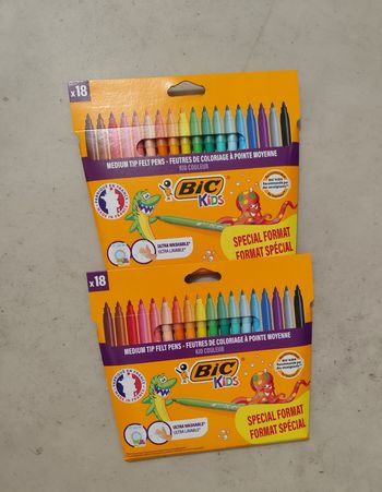 Feutre BIC