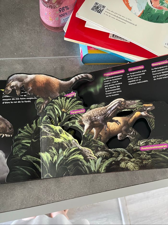Livre dinosaure - photo numéro 4