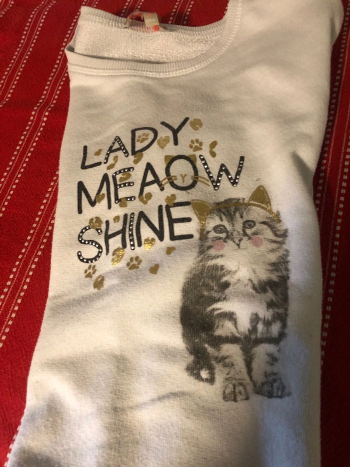 Sweat chat - photo numéro 4