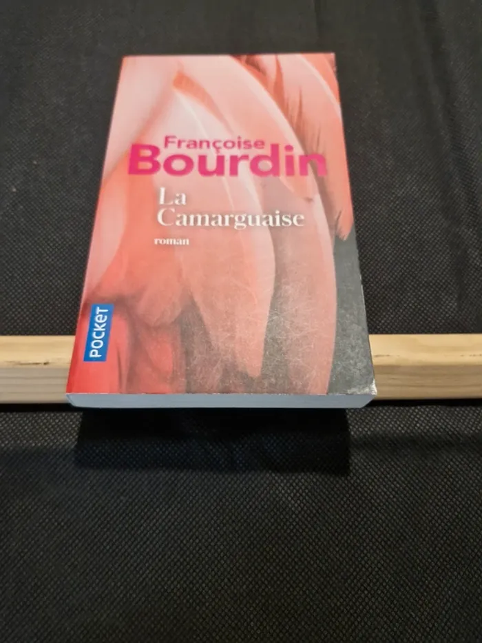 La Camarguaise - Françoise Bourdin - photo numéro 2