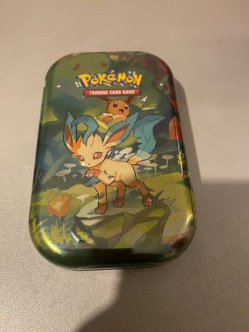 Boîtier booster Pokémon