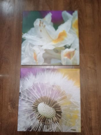 Cadre fleurs Artist's collection, "La Signature d'un peintre" copyright MCM S.A.