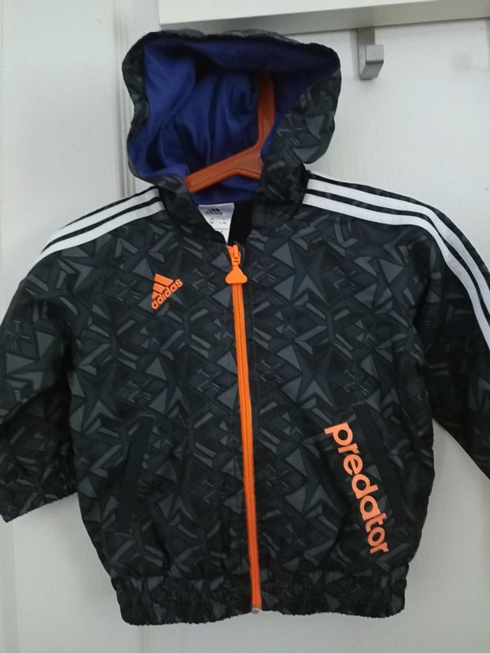 Jogging predator Adidas 6/9m quasi neuf - photo numéro 2