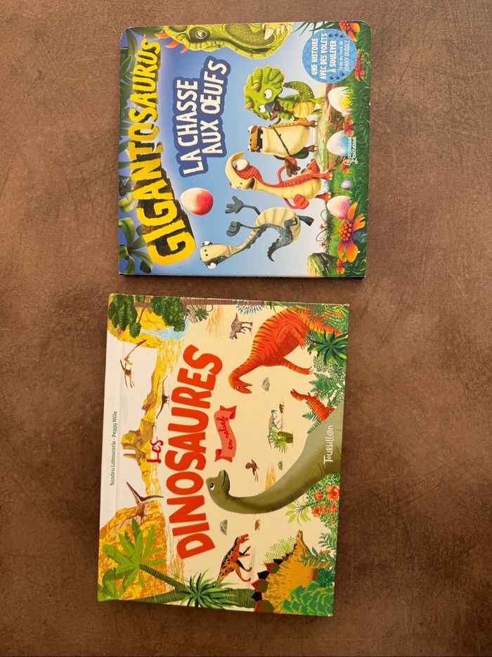 Lot livres dinosaures