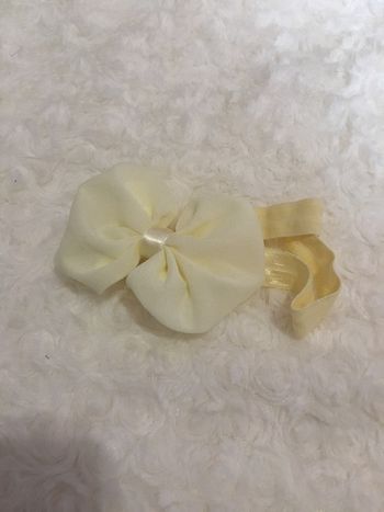 papillon pour cheveux