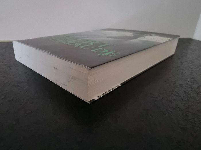 Vert Emeraude de Kerstin Gier - photo numéro 6