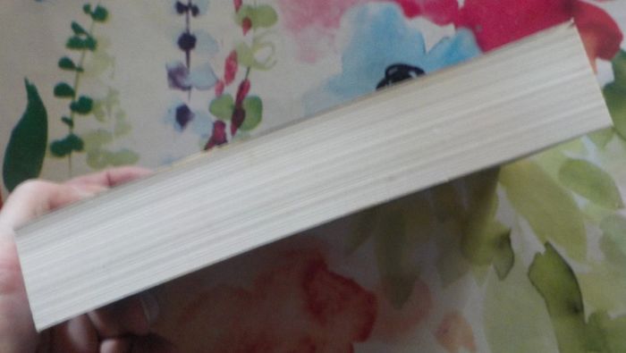 Magie noire à Brest de Luc Calvez Ed. Liv'Poche Policier - photo numéro 4