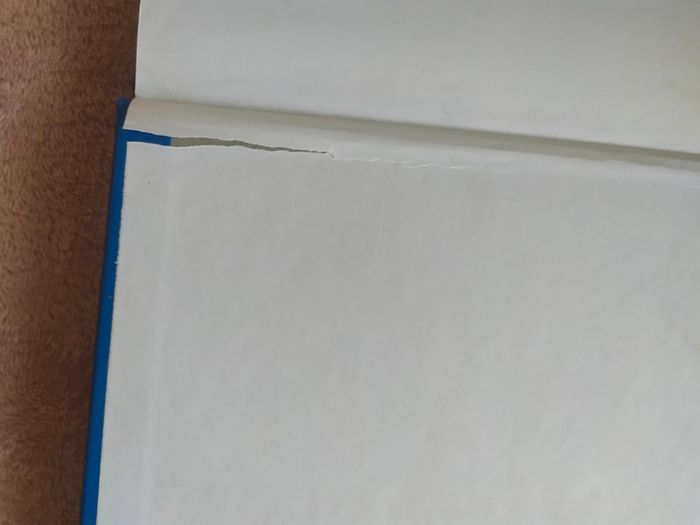 Livre Roi Lion - photo numéro 11