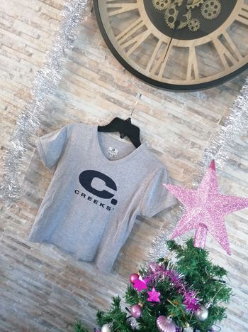 Tee-shirt creeks gris taille 16ans