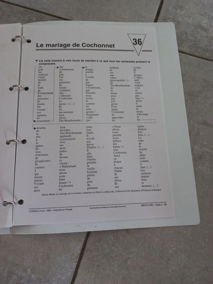 Classeur clé en main Lecture ce1 Mieux lire au cycle 2 - photo numéro 4