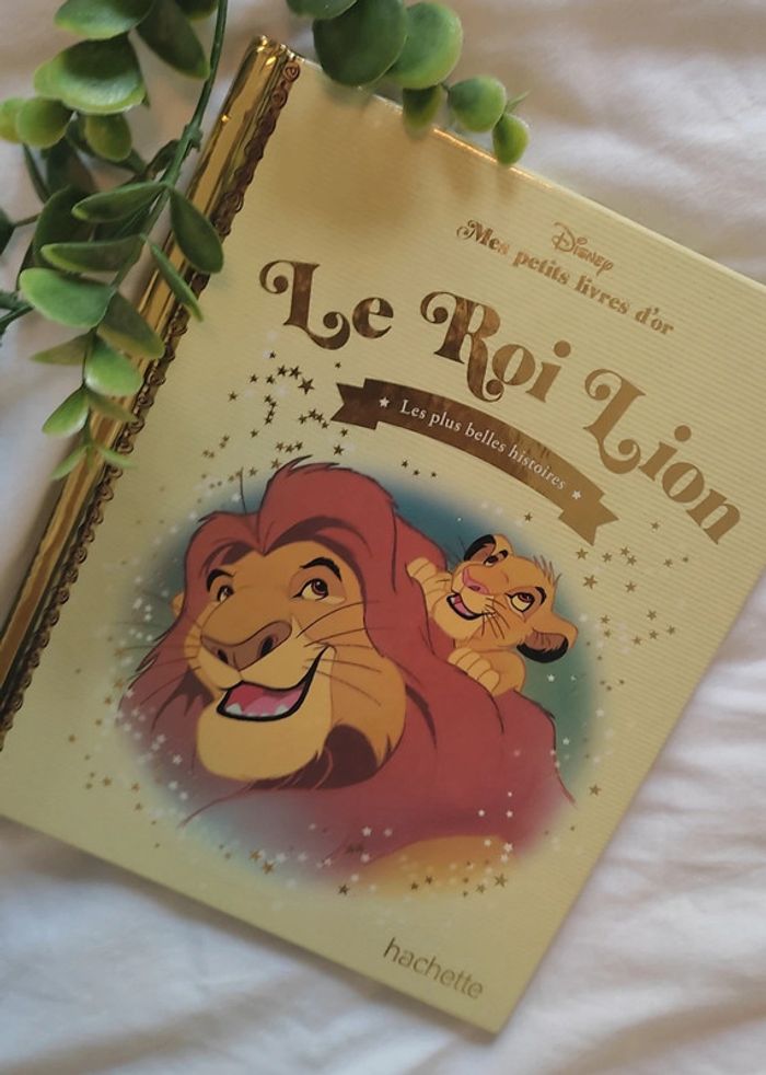 Livre pour enfants Le Roi Lion. très bon état