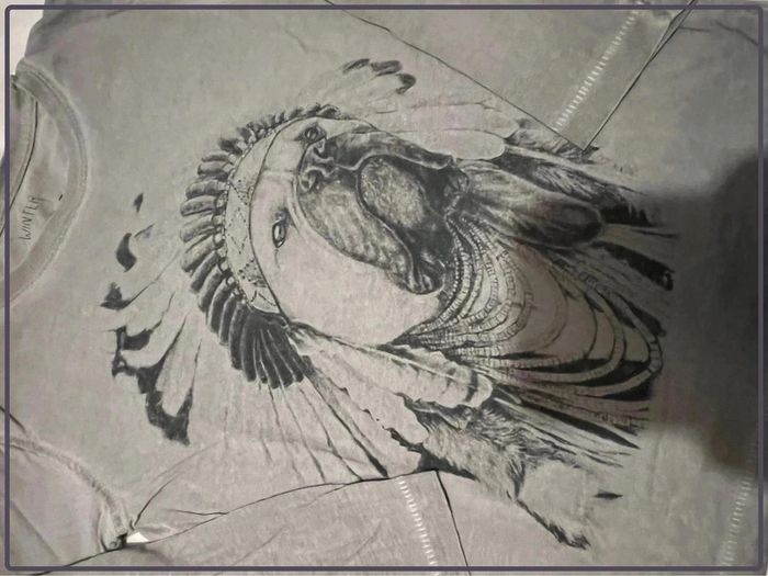 Tee shirt manches longues Zara boys taille 3/4 ans - photo numéro 3