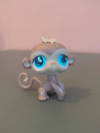 Littlest Petshop Lps Singe