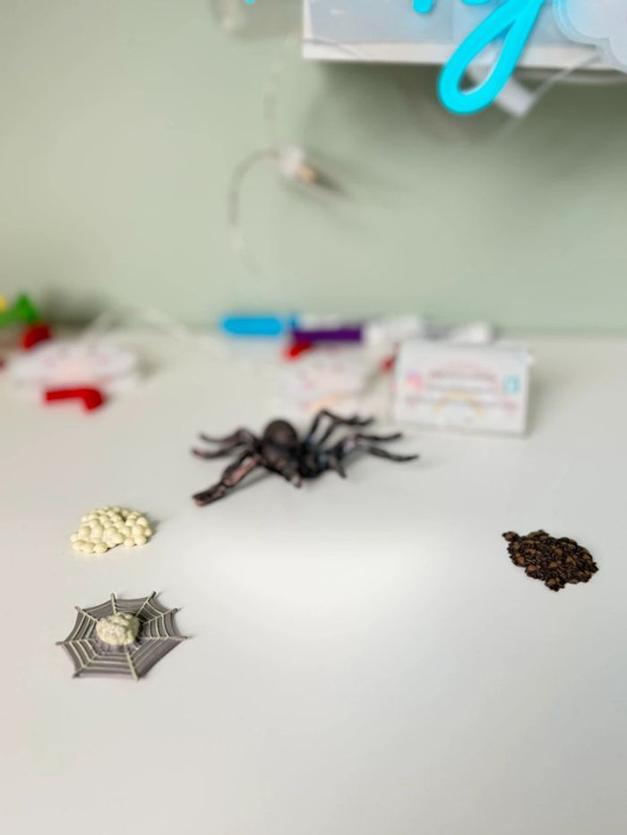 Cycle de vie: L'araignée - Lot de 4 figurines - photo numéro 13