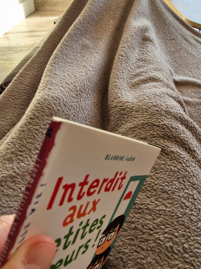 Livre Interdit aux petites sœur dès 6-7 ans - photo numéro 5