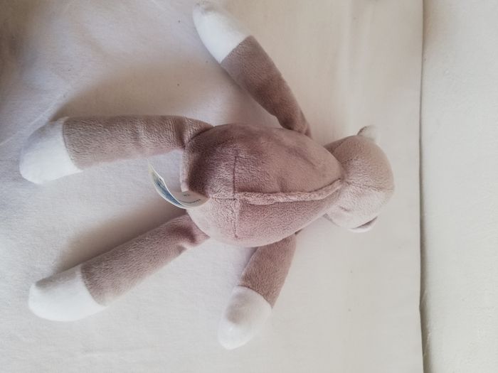 peluche ours musti - photo numéro 4