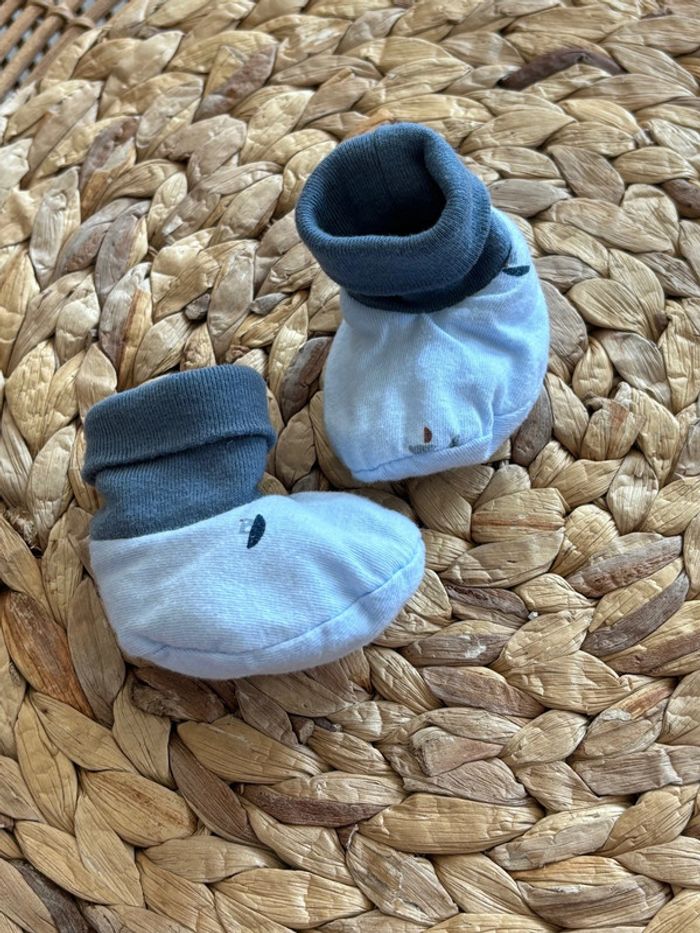 Chausson absorba