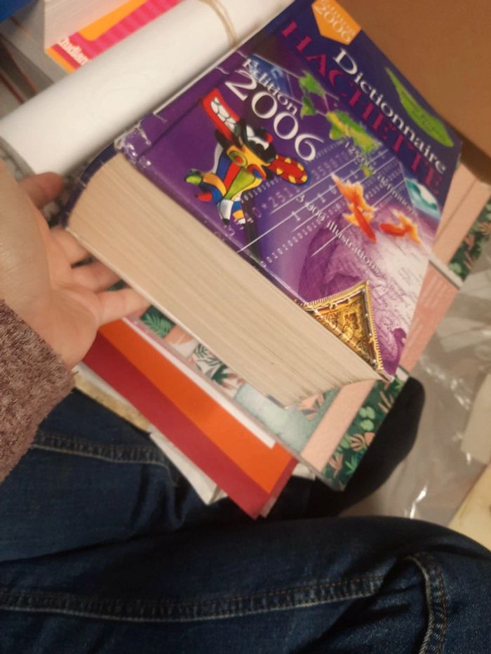 Dictionnaire adulte - photo numéro 3