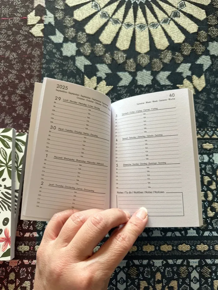 Lot de 3 petits agendas 2025-2026 - photo numéro 3