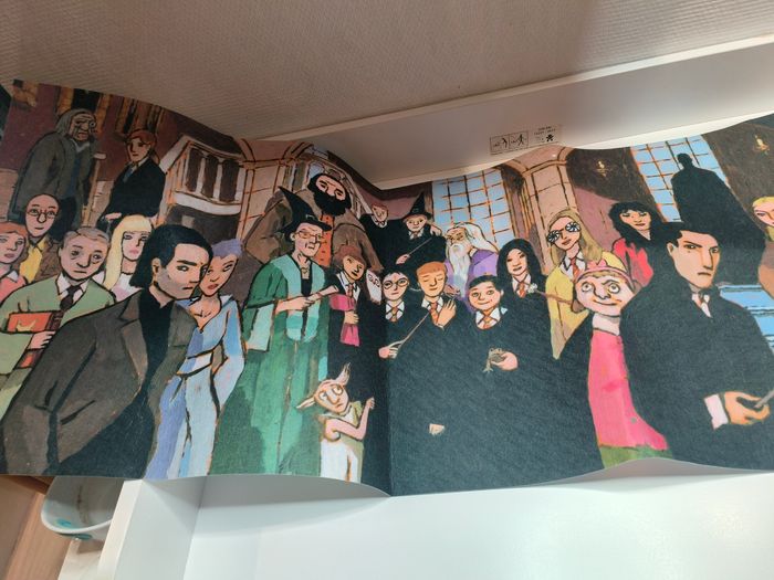 Affiche fronton intissé Harry Potter 25 ans - photo numéro 2