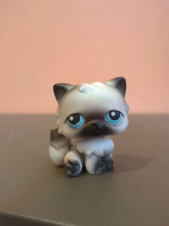 Littlest Petshop Lps Chat
