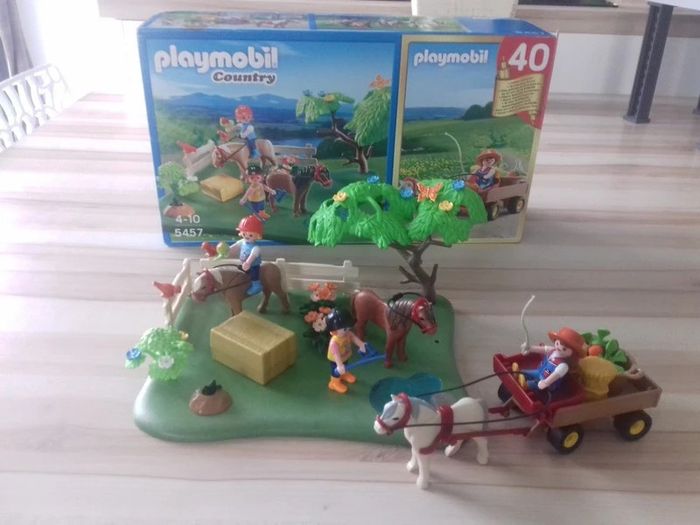 Boite playmobil 5457