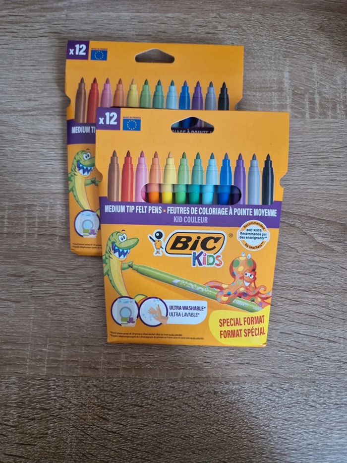 Lot 24 feutres bic