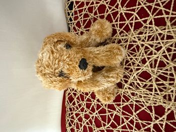 NICOTOY DOUDOU CHIEN ECRU