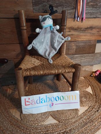 Doudou raton laveur mots d'enfants tbe