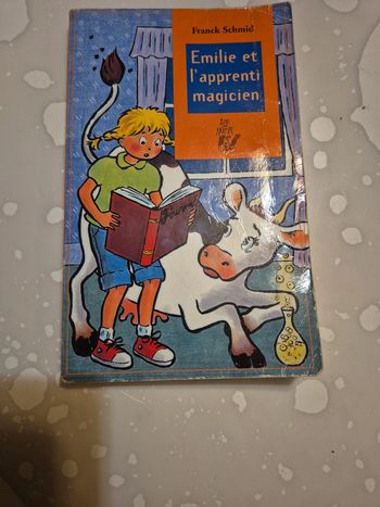 Livre Émilie et l’apprentissage magicien