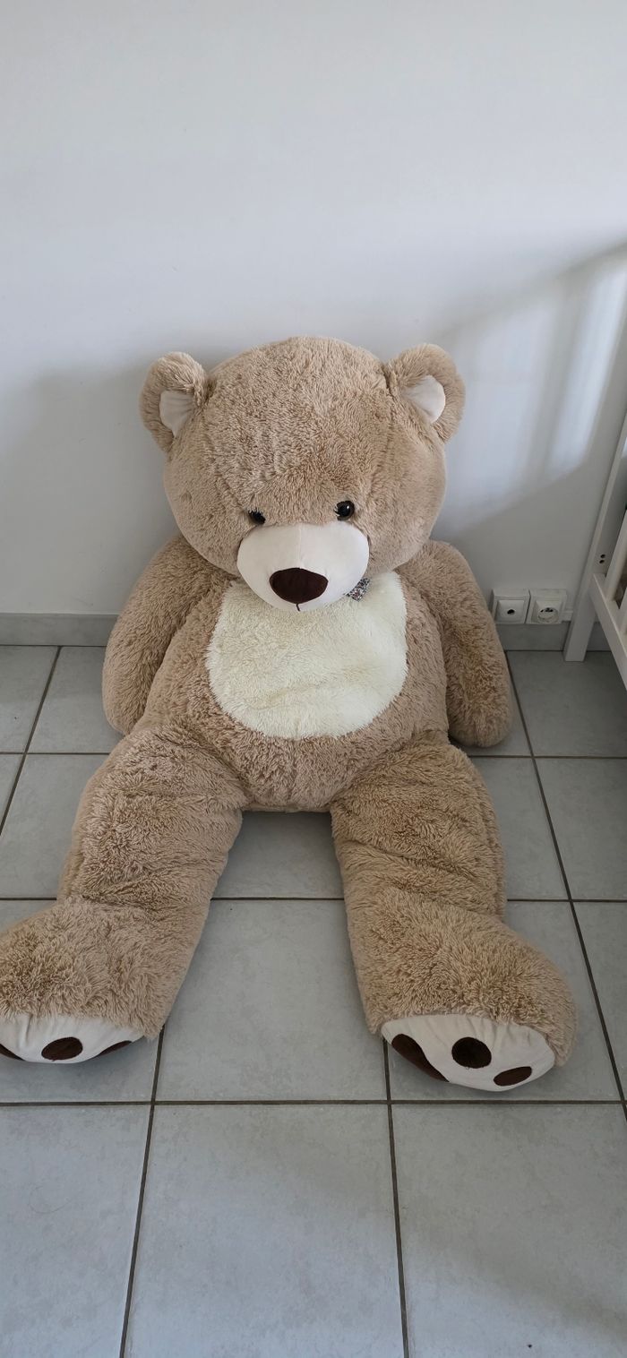 Ours en peluche