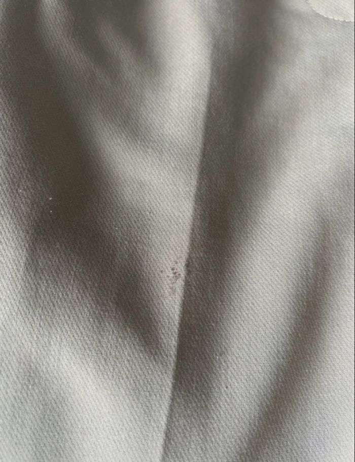 Pantalon tailleur - photo numéro 2