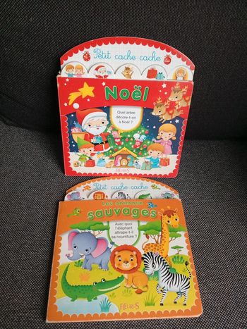 Lot livres avec volets à soulever