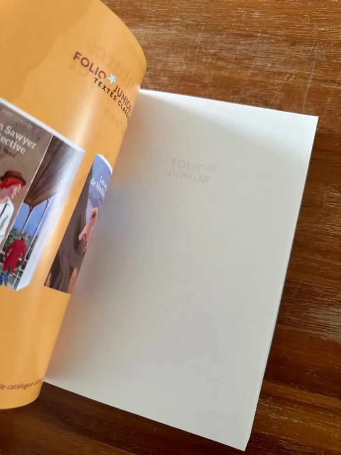 Livre les aventures de Tom Sawyer - photo numéro 5
