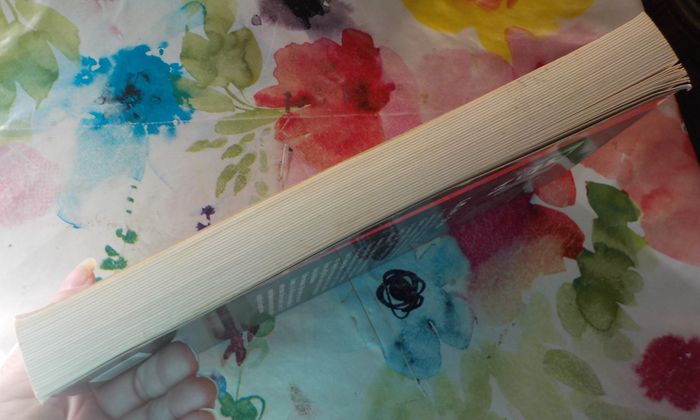 L'AFFAIRE JONAS de Jean-Marie de Morant Ed. Flammarion - photo numéro 5