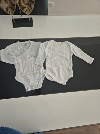Lot de 2 bodies manches longues 12 mois