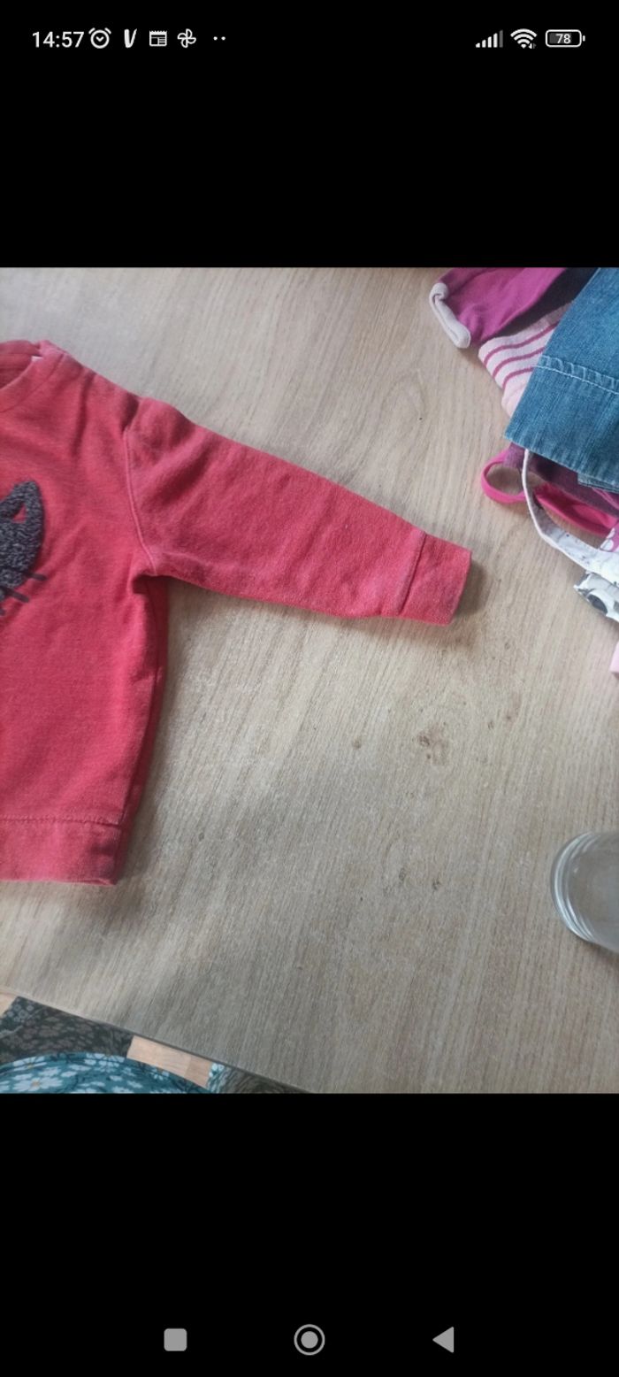 Sweat Zara 12/18 mois - photo numéro 3