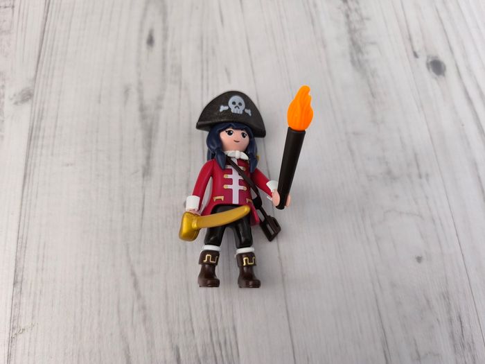 Personnages Super 4 playmobil - photo numéro 7