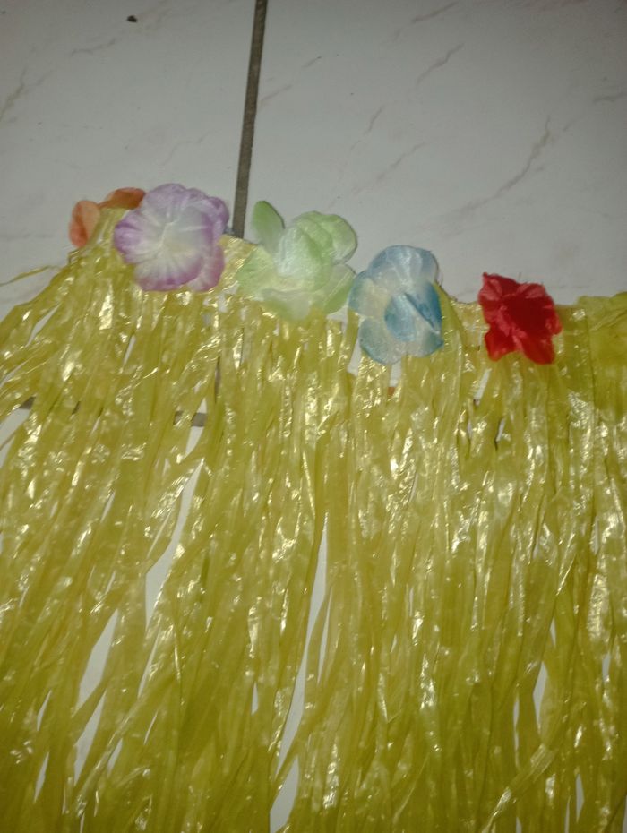 Jupes hawaiiene - photo numéro 2