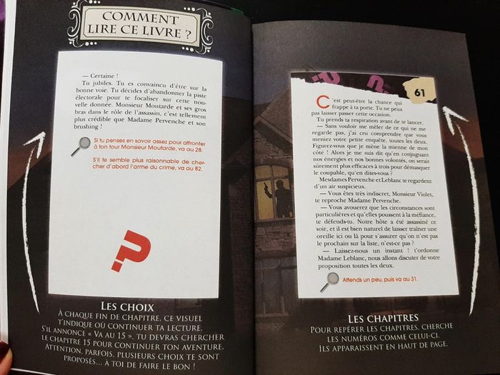 Livre Aventures sur Mesure Cluedo 05 - Monsieur Violet - photo numéro 3