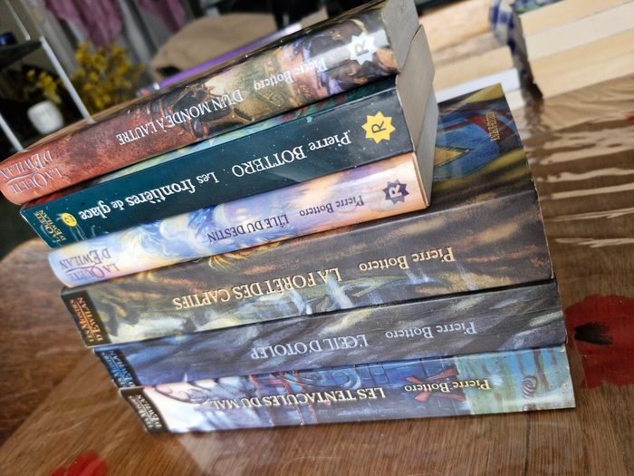 Intégrale Saga Ewilan en 6 tomes - photo numéro 4