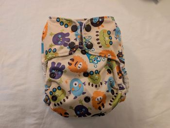 Couche lavable blueberry